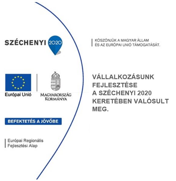 EULogo2020